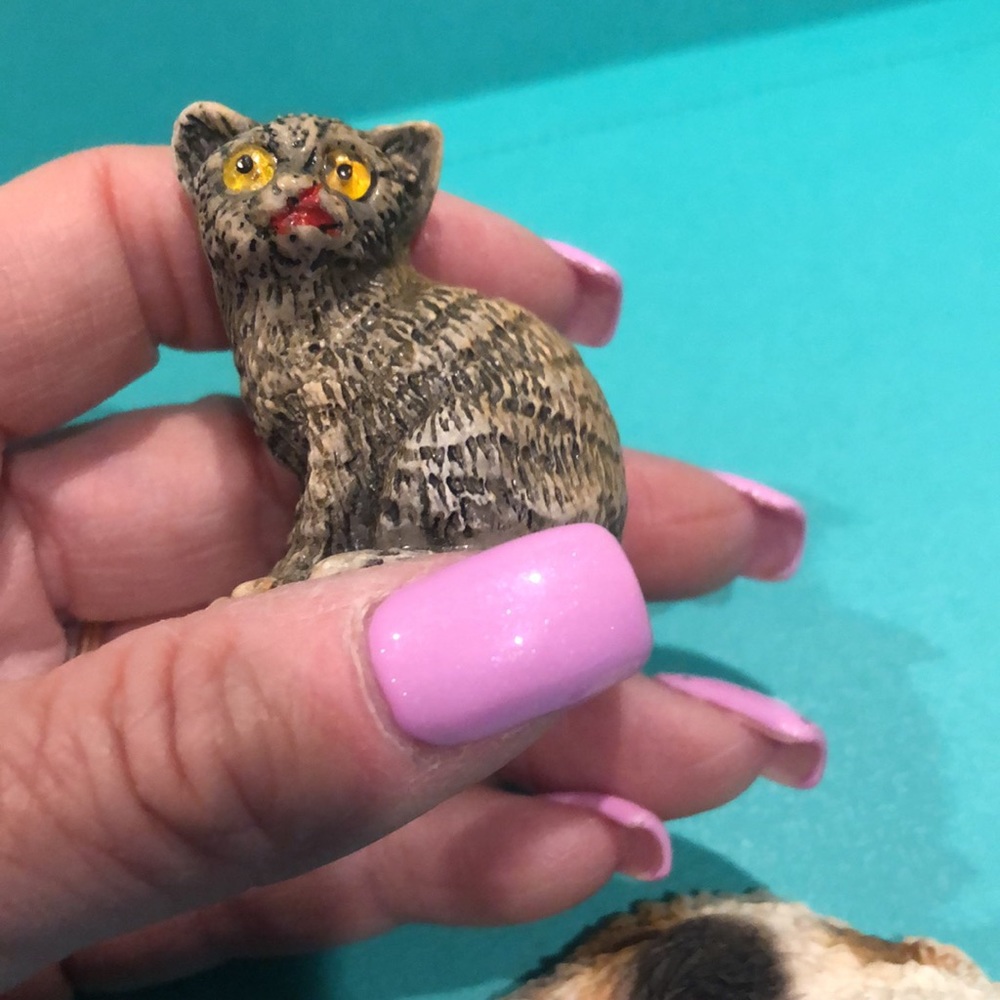 5pc cat collection - Picture 3 of 7